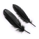 11787-toybox-naughty-touch-beginners-set-black-sex-shop-lefkosia