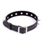 16215-adjustable-leather-neck-collar-choker-with-metal-spikes-sexshop-Limassol