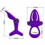 22719-pretty-love-vibration-shaft-and-testicles-ring-purple-sex-shop-Larnaca