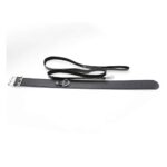 23223-naughty-toys-faux-leather-collar-with-leash-o-s-Larnaka-sex-shop