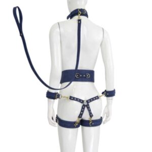23725-premium-fetish-collection-complete-6-piece-set-tibet-blue-gold-Paphos-sexshop