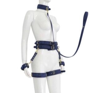 23725-premium-fetish-collection-complete-6-piece-set-tibet-blue-gold-sexshop-Omonias