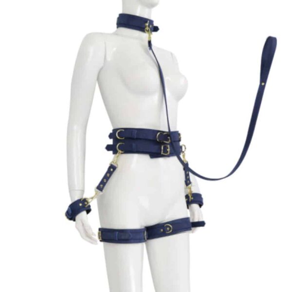 23725-premium-fetish-collection-complete-6-piece-set-tibet-blue-gold-sexshop-Omonias
