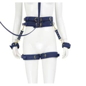23775-naughty-toys-tibet-blue-leather-corset-cuffs-hog-tie-restraints-4pcs-set-Limassol-Love-Shop