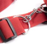 23823-toybox-pillow-talk-under-bed-restraint-set-red-cyprus-sex-shop