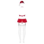 14885-plus-size-obsessive-ms-klaus-skirt-and-top-with-cap-Lingerie-2
