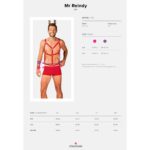 17499-obsessive-mr-reindy-set-sex-shop-Larnaca