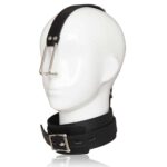 naughty-toys-nose-hook-on-neck-collar-loveshop-Cy