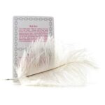 Fetish-Seductions-Game-For-Couples-sexshop-Cyprus