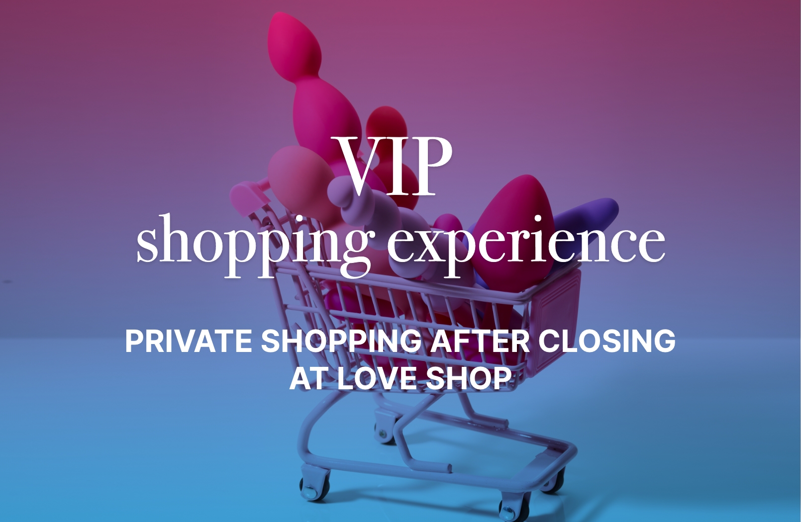 ✨ VIP Shopping Experience ✨ 1 Vip Shopping