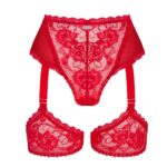 18015-plus-size-obsessive-belovya-sensual-red-garter-panties-Limassol-sexshop