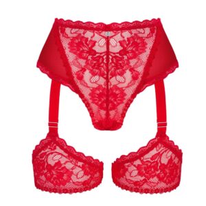 Sex Shop Cyprus 29 18015-plus-size-obsessive-belovya-sensual-red-garter-panties-Limassol-sexshop