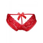 Erotic-Lace-Panty-48266