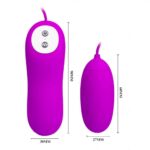 Eunice-Silicone-Vibrating-Egg-with-Remote-Control-74275
