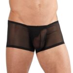 Transparent-Mens-Pants-50785