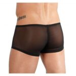 Transparent-Mens-Pants-50787