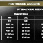 penthouse-spicy-whisper-teddy-sheer-body-black-sexshop-Limassol