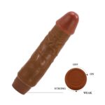 BW-001032R-1-realistic-dildo-vibrator-jeff-brown-sex-shop-limassol