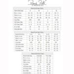 rene-rofe-plus-size-lace-dress-with-string-sexshop-Limassol