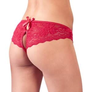 10157-floral-lace-crotchless-briefs-Limassol-sexshop