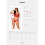 15901-obsessive-hunteria-red-bra-with-thong-Limassol-sexshop