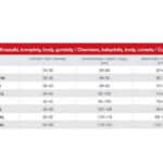 Angela-White-Chemise-with-String-sexshop-Nicosia