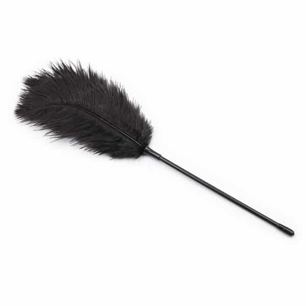 black-ostrich-feather-tickler-teaser-46-cm-sexshop-Nicosia black-ostrich-feather-tickler-teaser-46-cm-sexshop-Nicosia