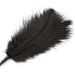black-ostrich-feather-tickler-teaser-46-cm-sexshop-Paphos