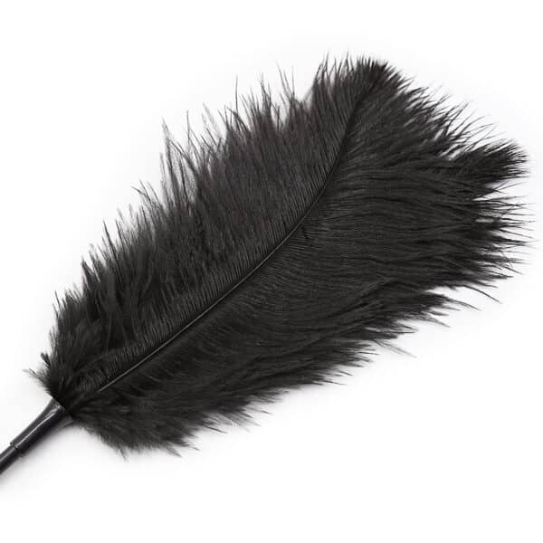 black-ostrich-feather-tickler-teaser-46-cm-sexshop-Paphos black-ostrich-feather-tickler-teaser-46-cm-sexshop-Paphos