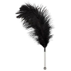 Bad-Kitty-Black-Feather-Teaser-loveshop-cy