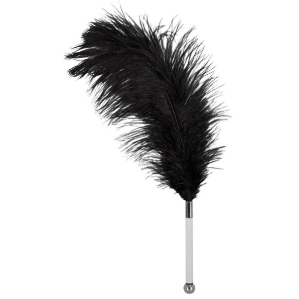 Bad-Kitty-Black-Feather-Teaser-loveshop-cy