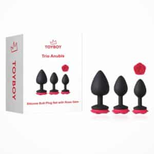 BY17-101-toyboy-trio-anubis-butt-plug-set-with-red-rose-flower-sex-toy-kit-for-anal-play