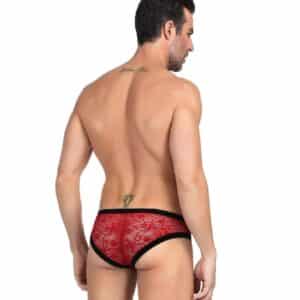 11001-floral-lace-briefs-red-loveshop-cy