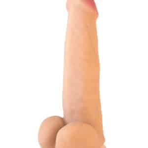 120271
