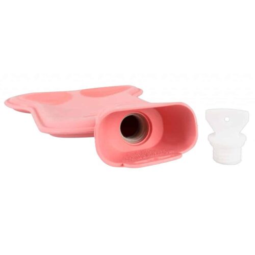 Pink-Willy-Hot-Water-Bottle-72085