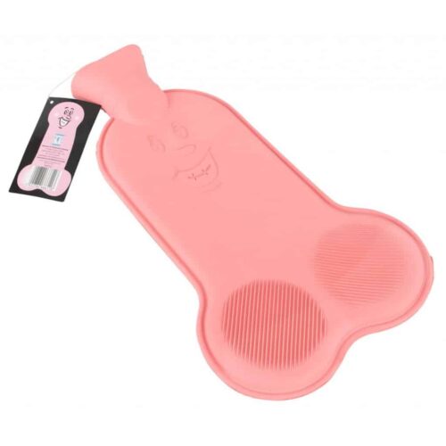Pink-Willy-Hot-Water-Bottle-72089
